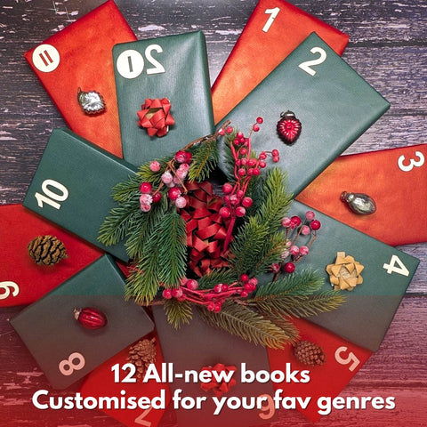 Fiction Advent Calendar - 12 Books